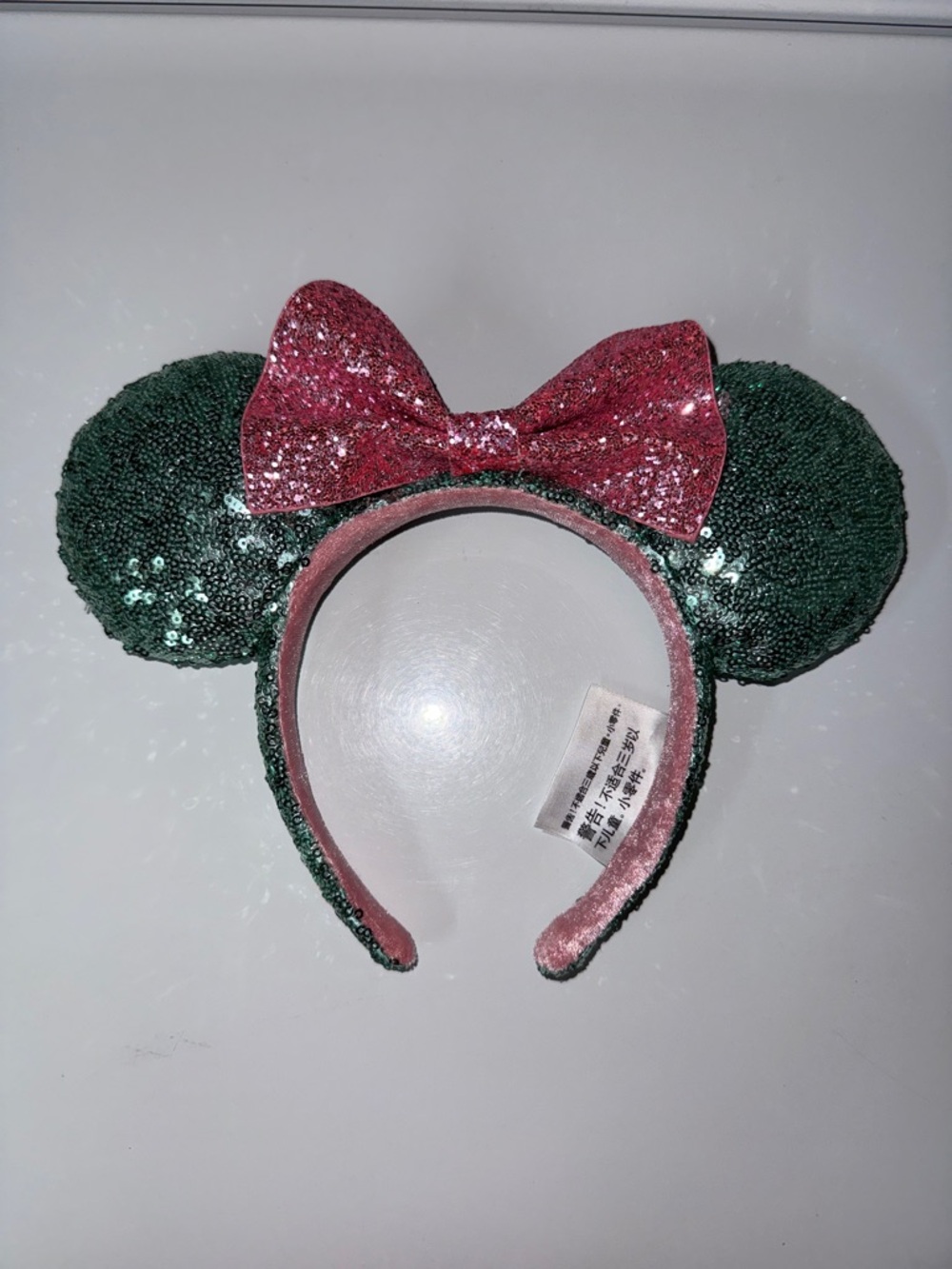 Disney park ears